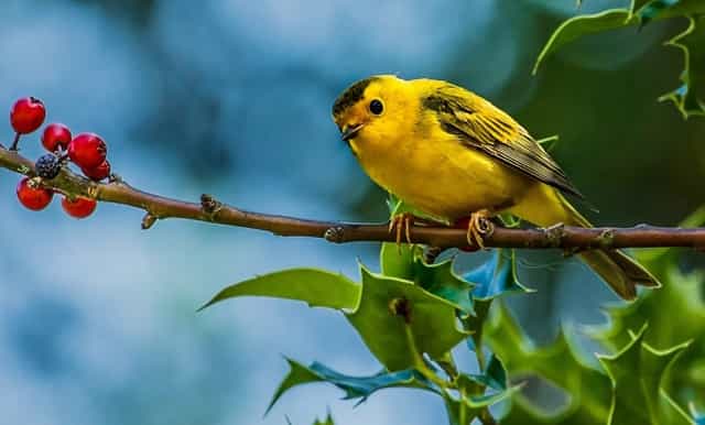 杨颖的穿搭好减龄！各种风格轻松驾驭，31岁一点也不像孩子妈