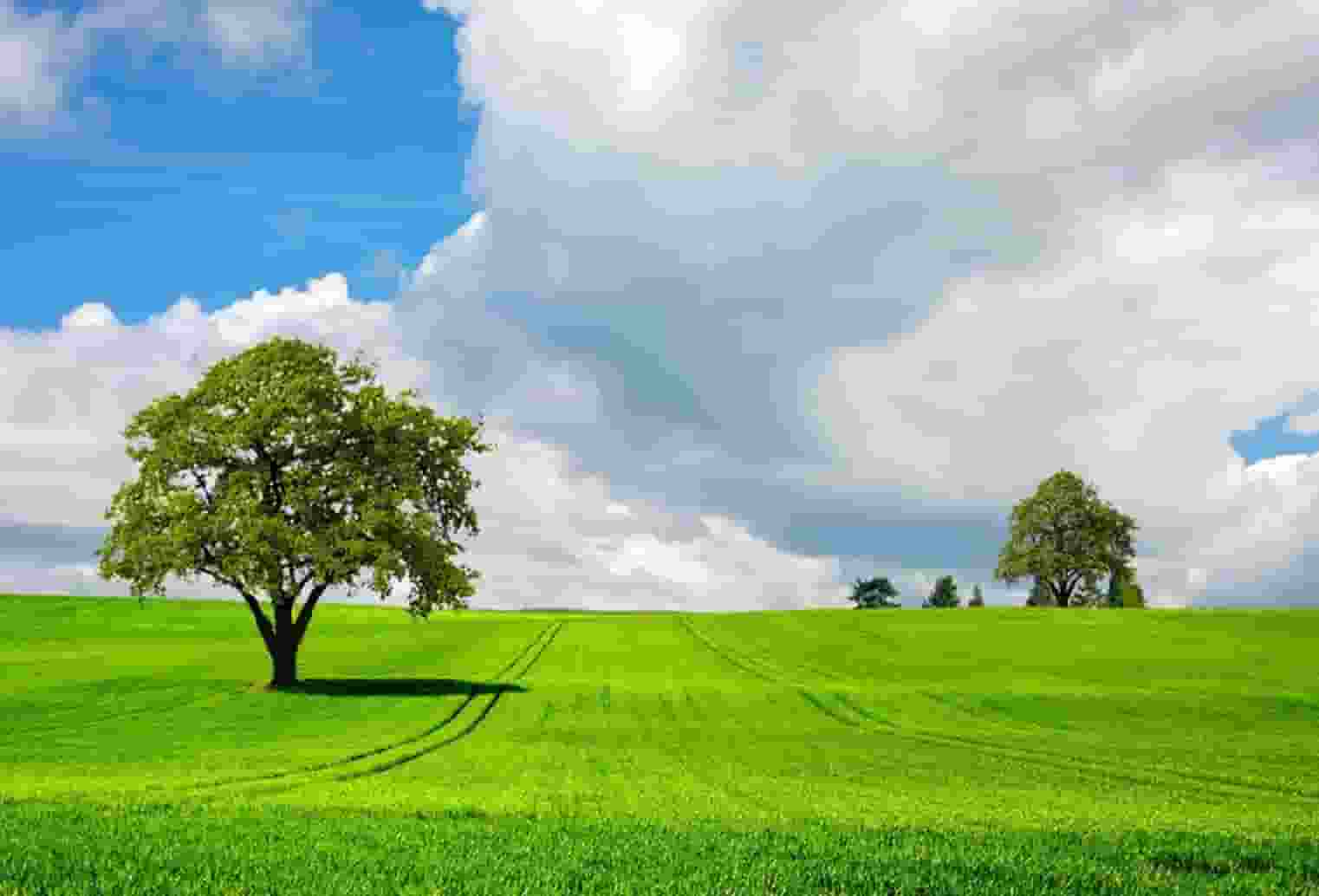 这3位95后星二代穿搭时髦，造型洋气还没架子，实力不是靠爸妈