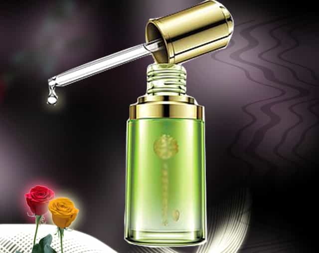 叛逆者朱怡贞介绍