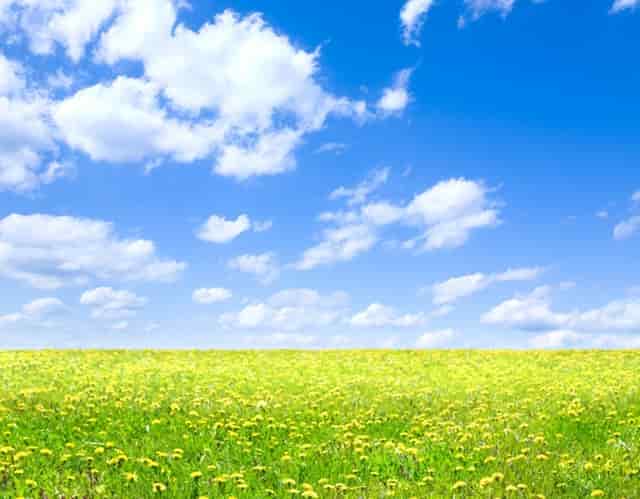 药品审评最新规定