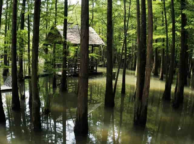 打卡机考勤记录文件不可编辑