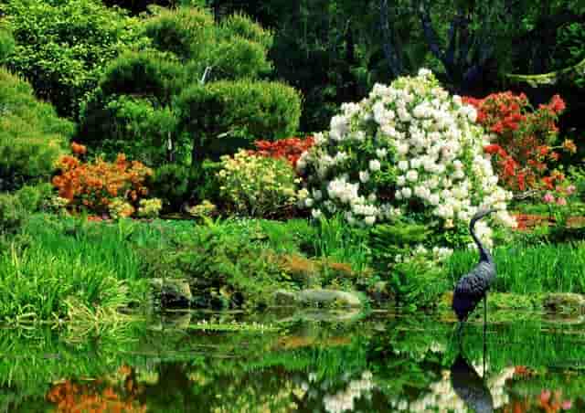 2021年7月份的猪价