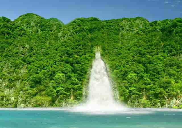 公司股东为什么喜欢分红