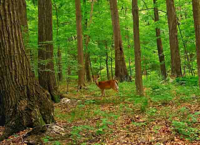 摩尔庄园怎么和好友住在一个镇(摩尔庄园怎么同意好友)
