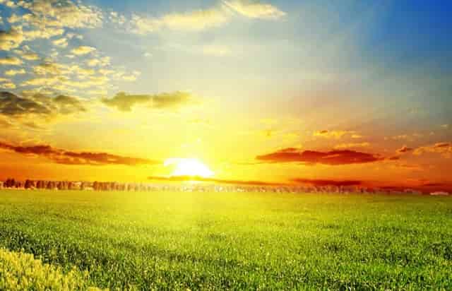 袖虎新养宠防坑：小心感冒变成猫鼻支