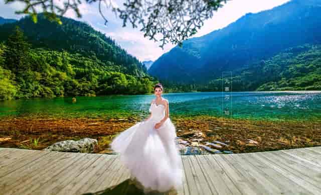 今年高考会考的时事