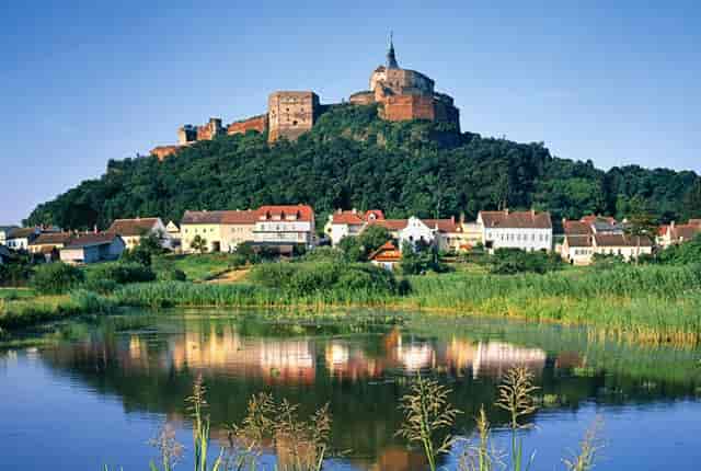 宠物行业的品牌优势，袖虎究竟能带来什么？