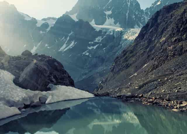 袖虎宠物研究：加盟店能不能赚钱？注意哪些骗局？