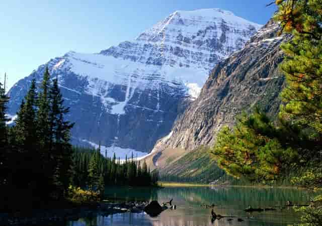 丰田发动机是什么车型