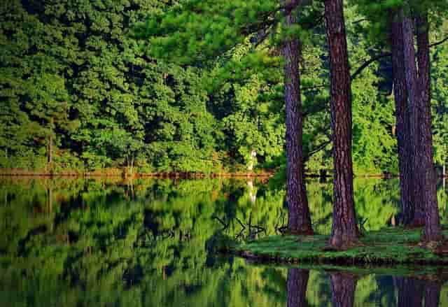 海清换对发型像“整容”，放弃大妈短发后，完全看不出43岁