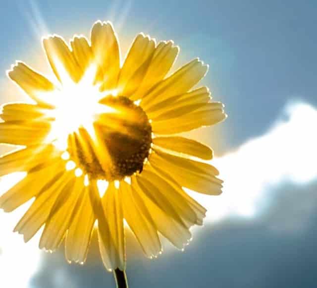 谁能拯救新华基金？