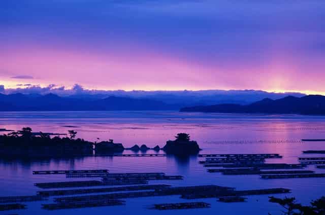 为什么感觉早上心情失落