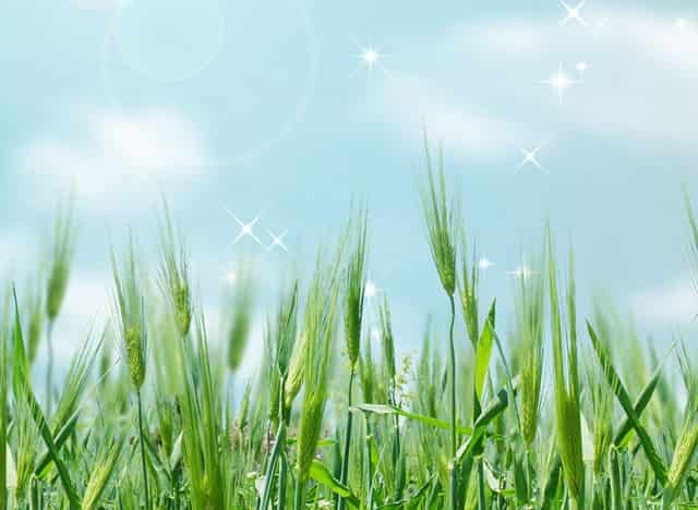 儿童的最新零食