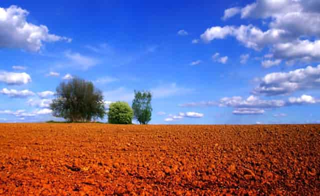 蔡嘉珍獲得註冊理財規劃師專業稱銜，秉持職業操守與執業準則，開啟財務規劃新征程