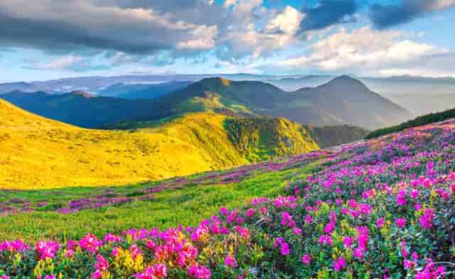 糖尿病血糖高能吃哪些食物