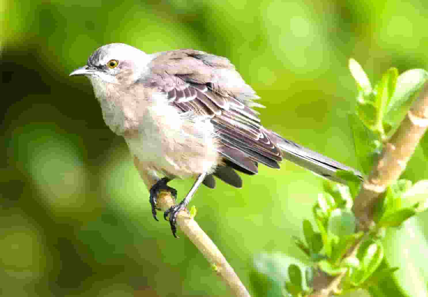 护林防火专项检查