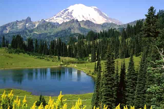 用户安全不包括