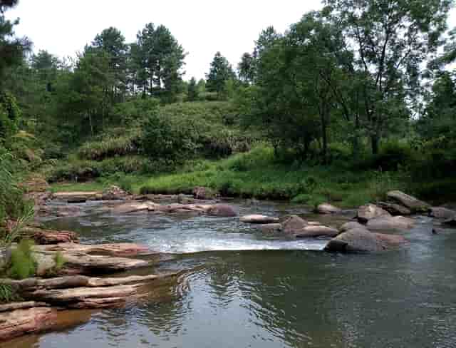 训狗妙招，袖虎带你瞧一瞧