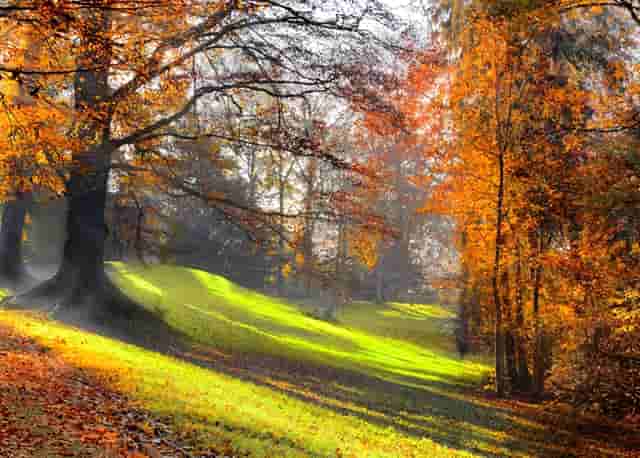 2021年一中考试成绩