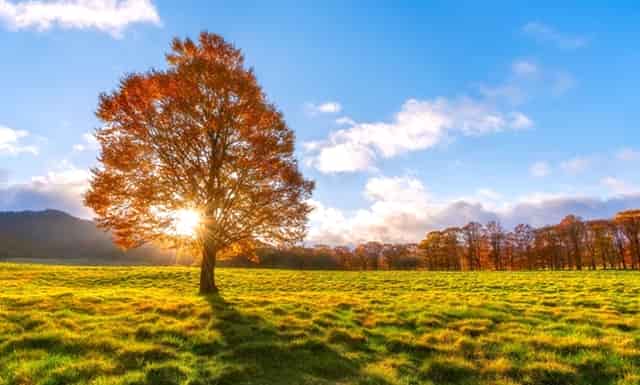 苹果公司给库克发了一个超级“大红包”！