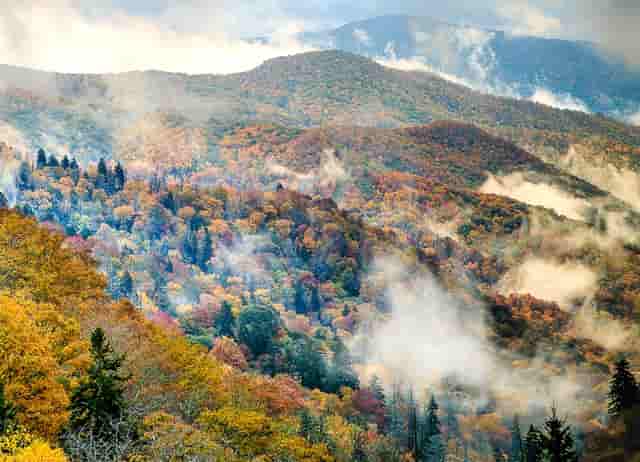 袖虎知识库：这个东西看似没用，实则少不了