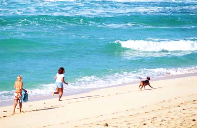 高考填志愿好点的专业