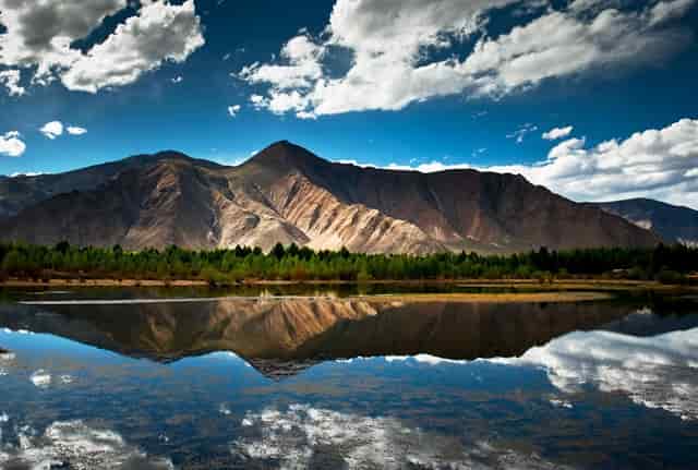 袖虎说，病猫的皮肤病，应该怎么预防和治疗？