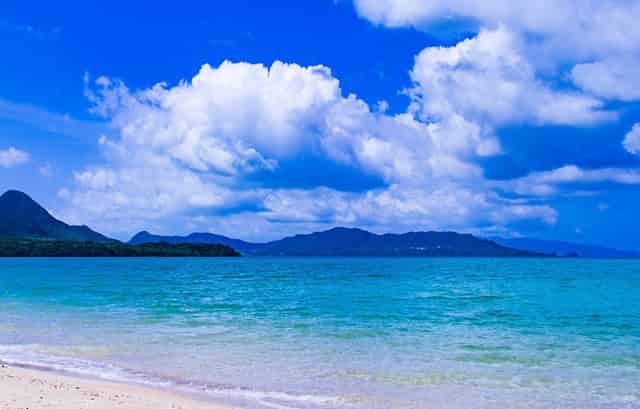 为什么都推荐高新一小