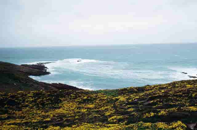 袖虎列举加盟坑钱的那些破事