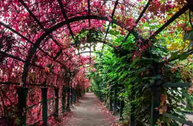 捐款河南灾区(河南胖东来捐款)