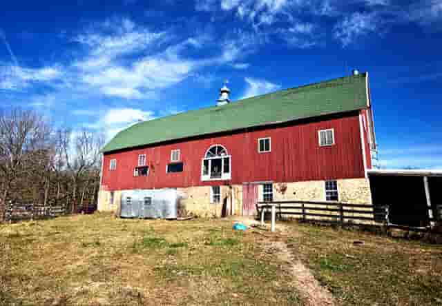 袖虎病猫攻略：冬季猫咪如何防猫癣？