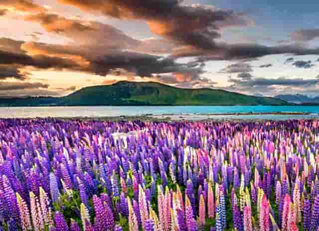 亮剑李云龙版夜曲(亮剑之我是李云龙)