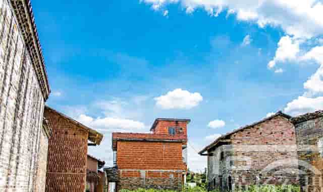 袖虎病猫攻略： 如何判断猫咪健不健康 宠物生活小百科