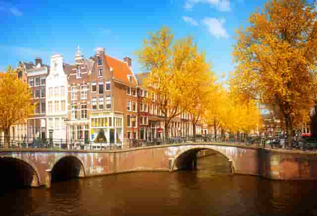 袖虎病猫攻略：猫便秘能喝牛奶吗