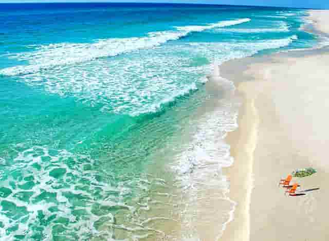 袖虎病猫攻略：感染绦虫怎么办？