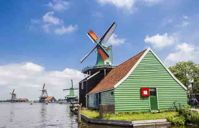 袖虎病猫攻略：猫杯状病毒的特点是什么