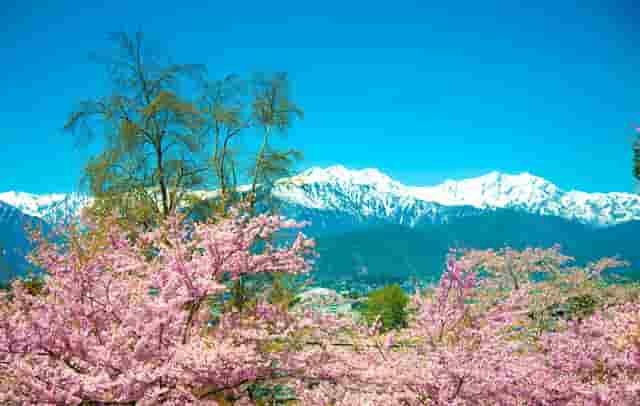 炫时尚摄影技巧