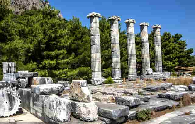 学生要身份证吗(学生身份证怎么办理)