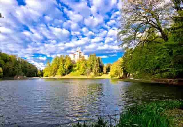 袖虎病狗攻略：狗狗喂食要注意，这几大误区可别沾