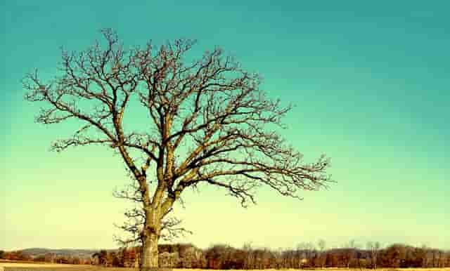 韦恩时尚的纹眉技巧(韦恩时尚纹眉价目表)