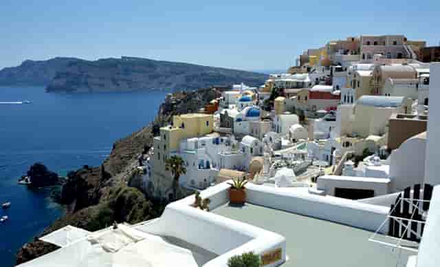 袖虎病狗攻略：狗狗体臭怎么办