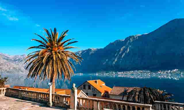 东方时尚驾校侧方位停车技巧视频(东方时尚驾校附近停车)