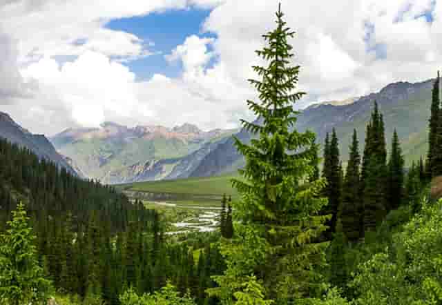 孩子考上高中学校好吗(高中学校怎么知道学生考上什么大学)