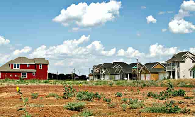 袖虎病狗攻略：狗狗口腔保健，拒绝口臭