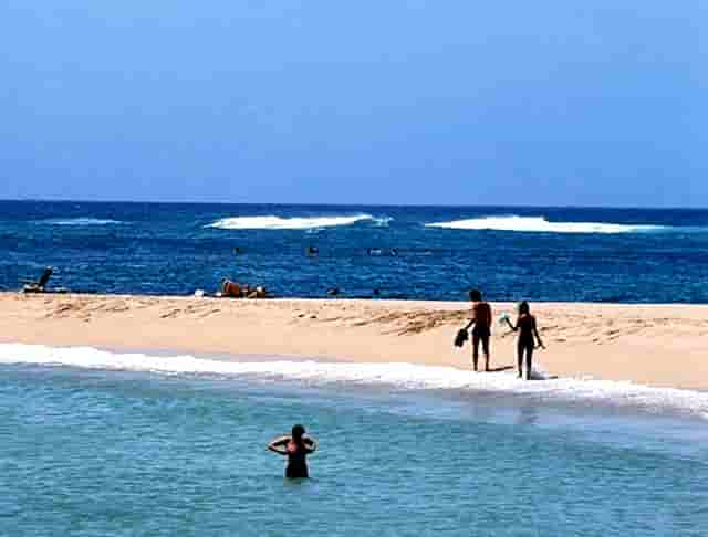 女装搭配技巧春天时尚(春天服装搭配女装)