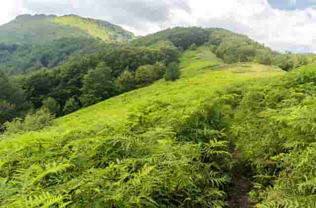 台州要有台风吗(台州天气台风预报)