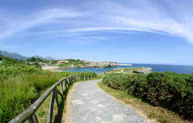 加盟袖虎宠物，你就知道创业很简单！