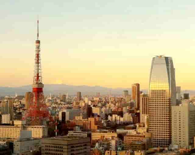 猫有问题找袖虎售后，避免踩坑哦