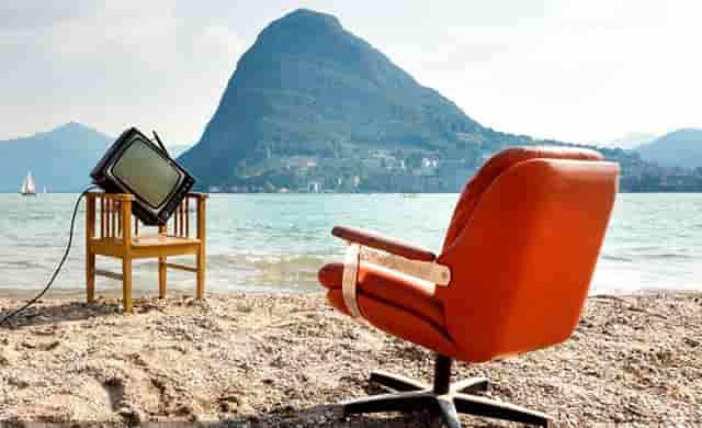 袖虎加盟故事：卖猫骗局